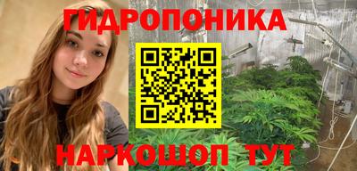 apvp Краснознаменск
