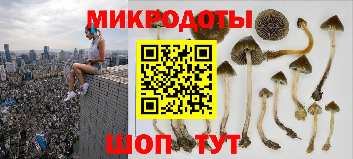 Киселёвск  Псилоцибиновые грибы MAGIC MUSHROOMS  Вход с VPN  Псилоцибиновые грибы Psilocybine cubensis 